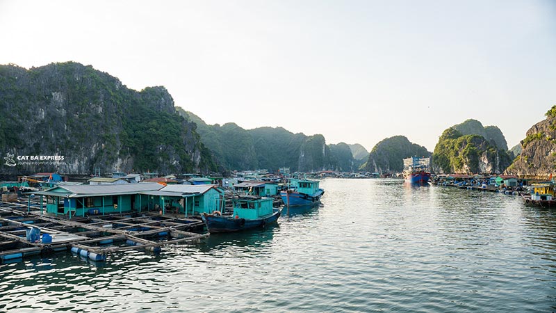 Làng Chài Cái Bèo, Cát Bà