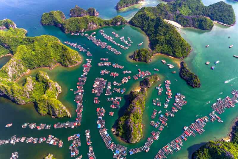 Làng Chài Cái Bèo, Cát Bà