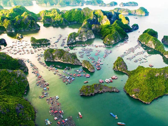 Combo tour du lịch Cát Bà 2023