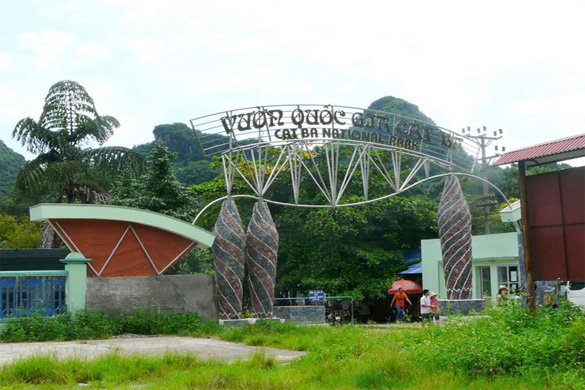 Tour du lịch Vịnh Lan Hạ - Cát Bà 3 ngày 2 đêm - Tàu & KS